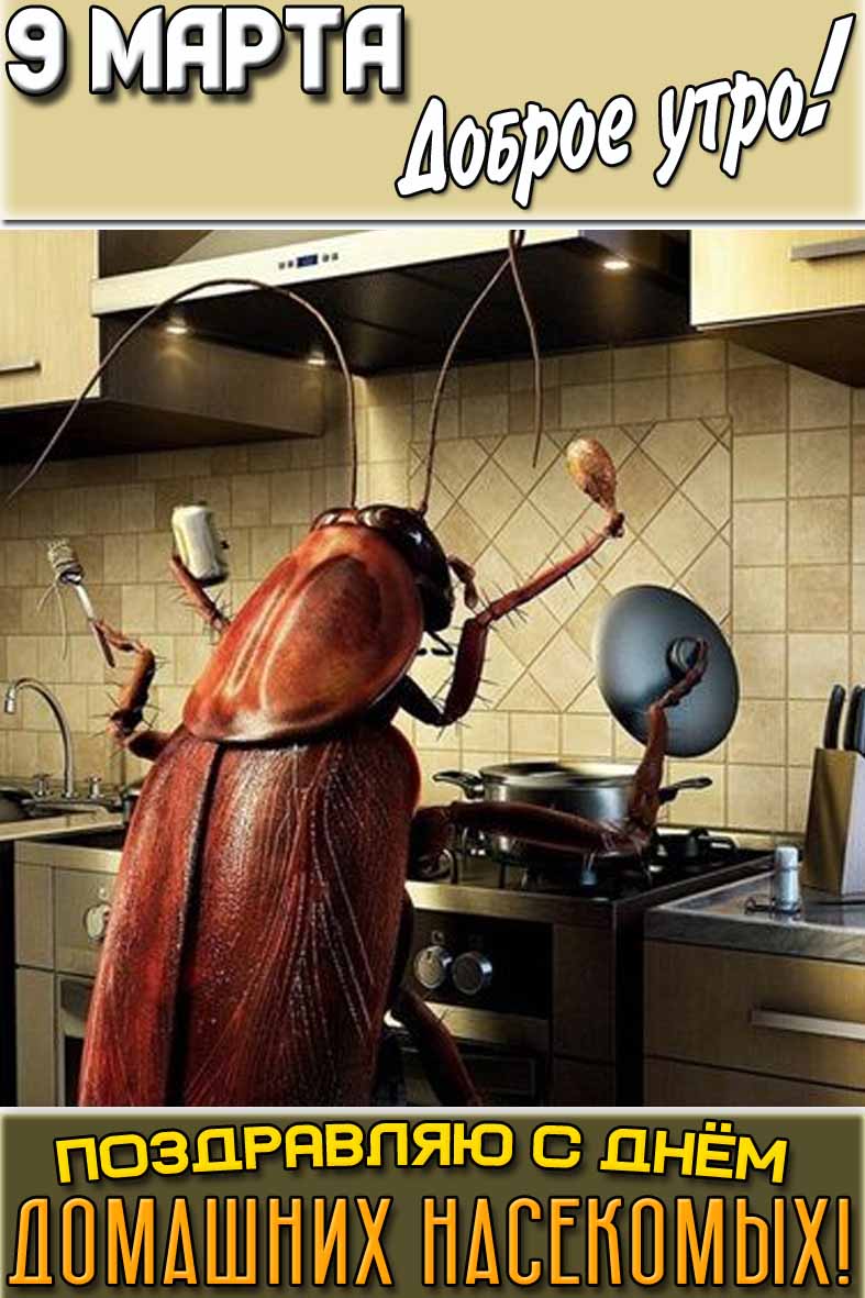 Смешная открытка "9 марта доброе утро! Поздравляю с днём домашних насекомых!"