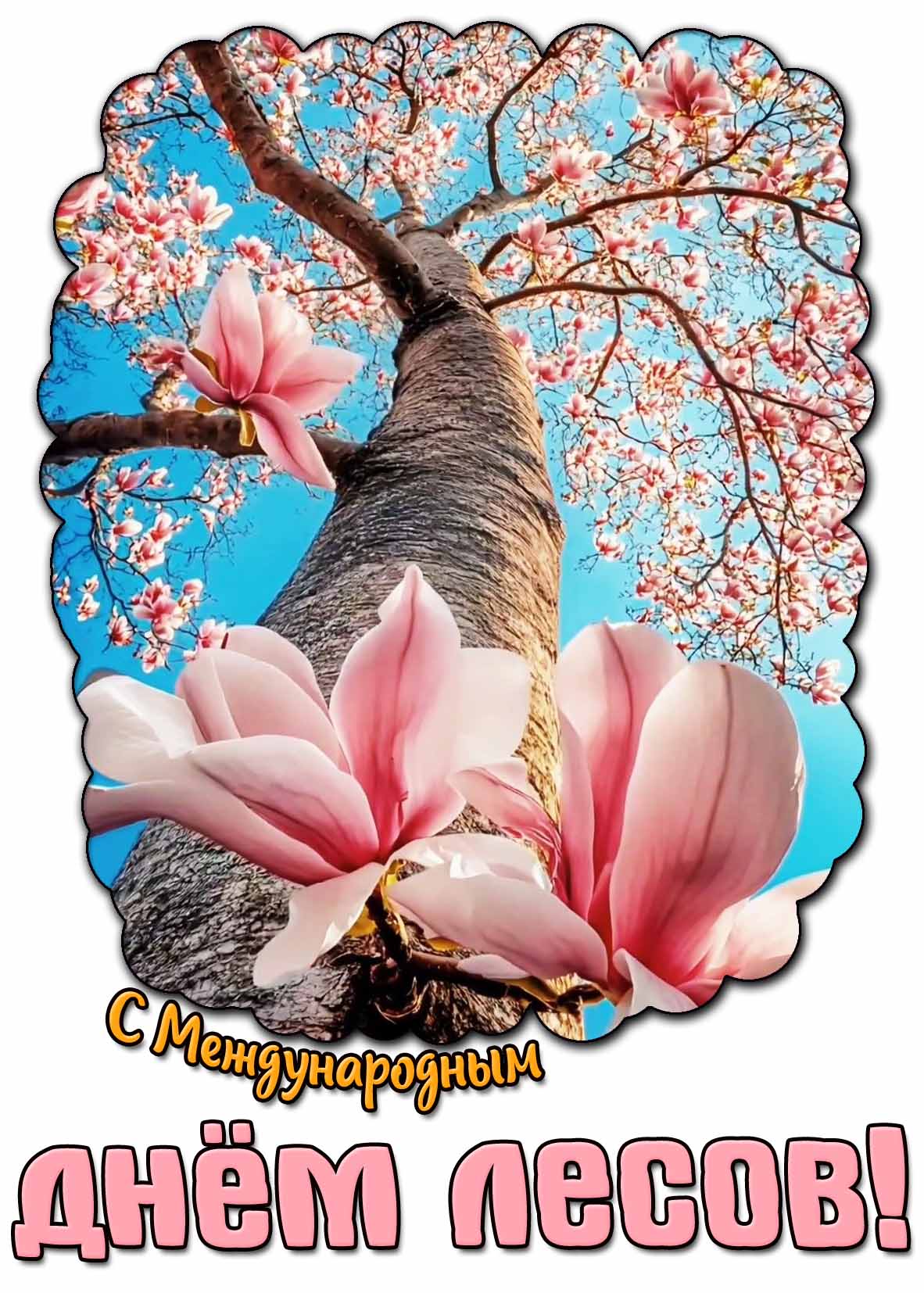 С Международным днём лесов! - весенняя открытка