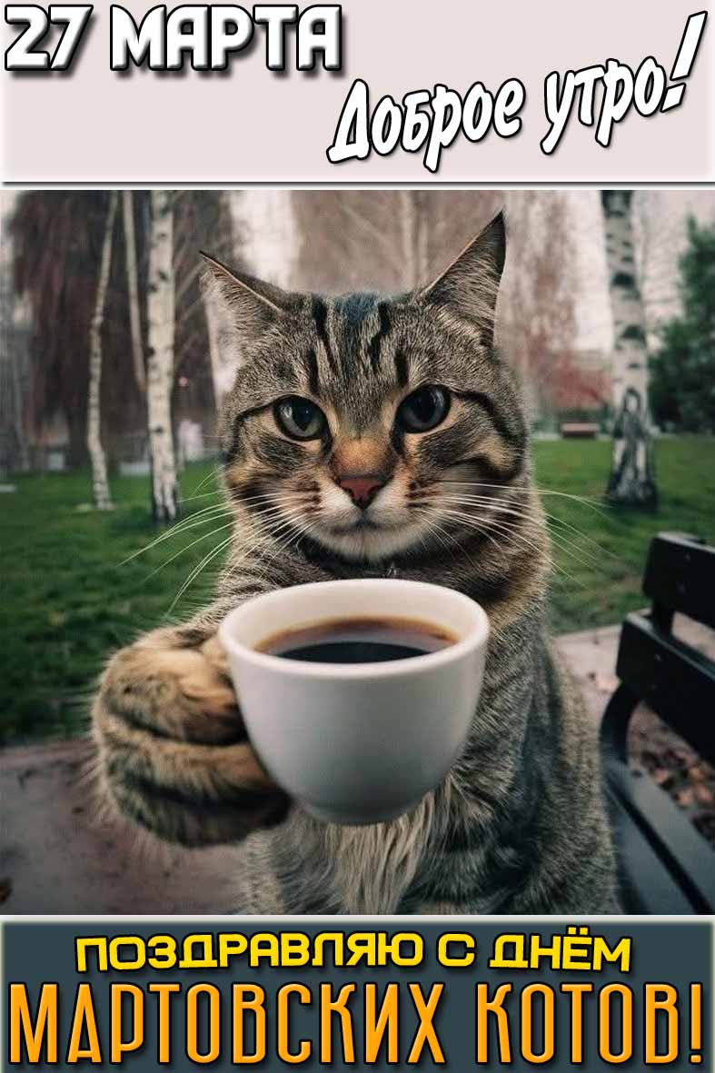 Картинка "27 марта доброе утро! Поздравляю с днём мартовских котов!"