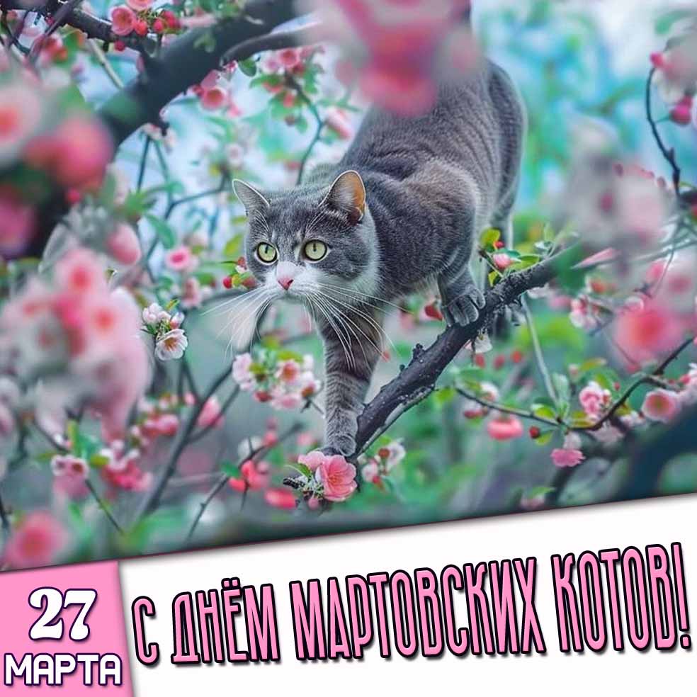 Открытка 27 марта - с днём мартовских котов!