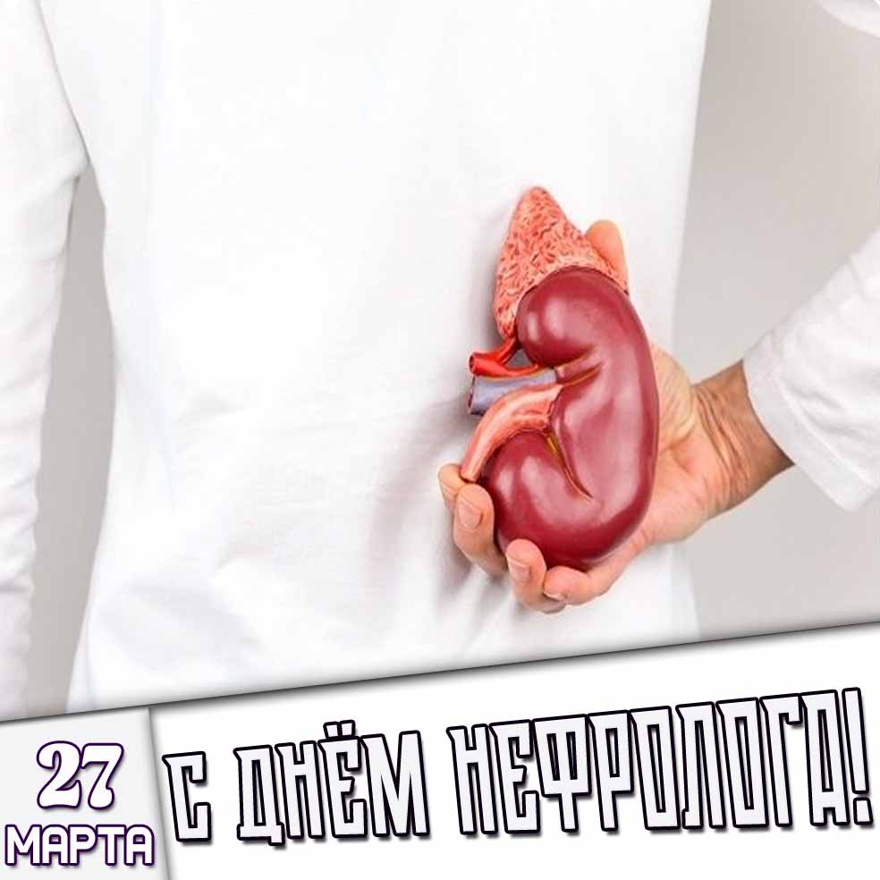 Картинка 27 марта - с днём нефролога!