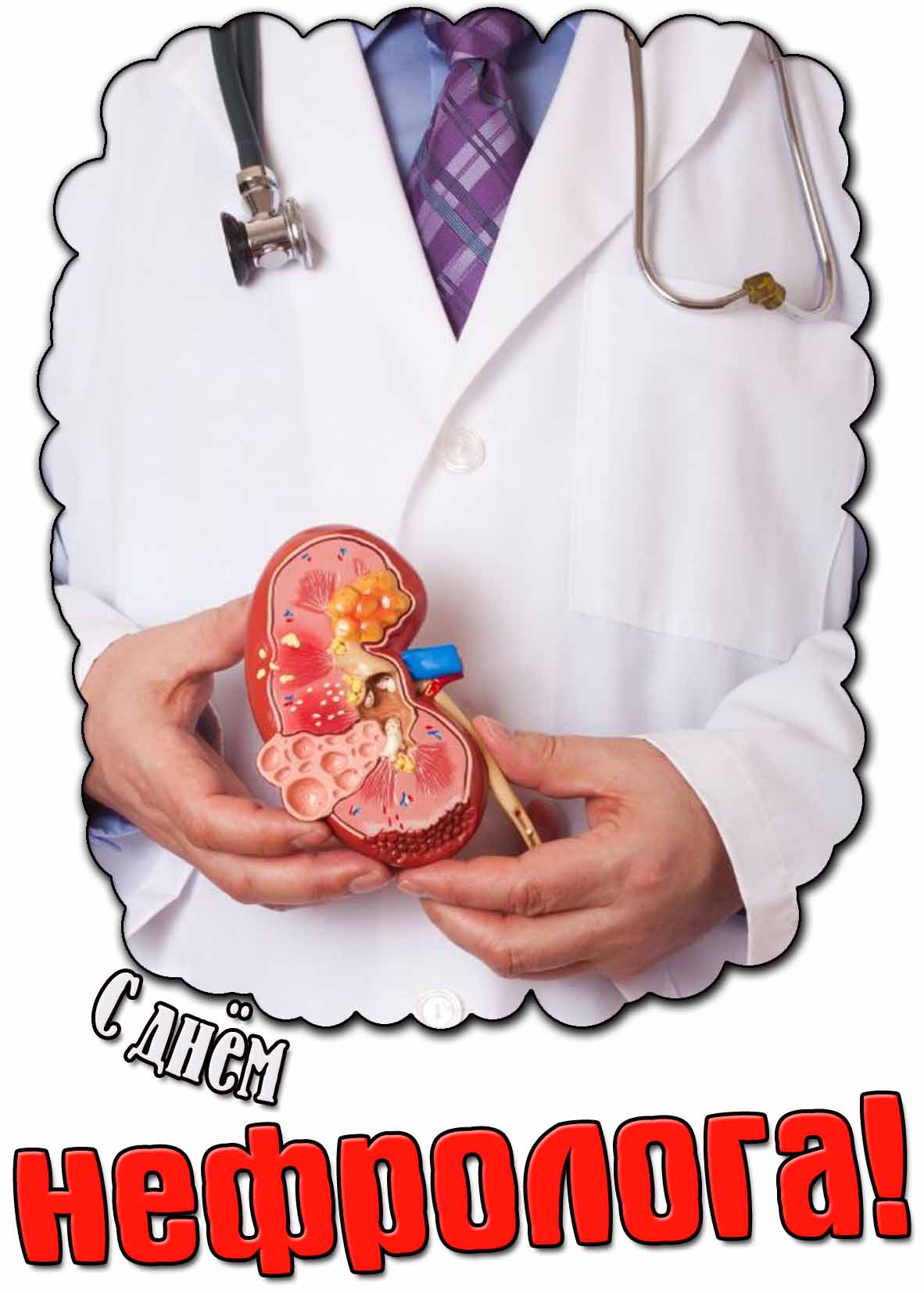 Картинка с днём нефролога