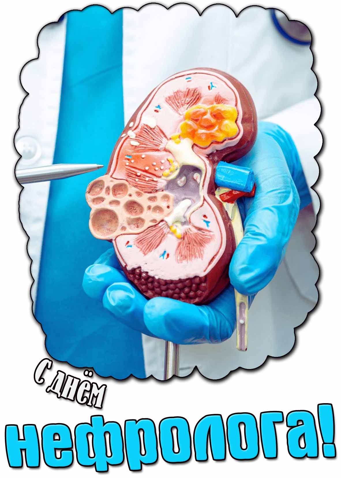 Красивая открытка с днём нефролога