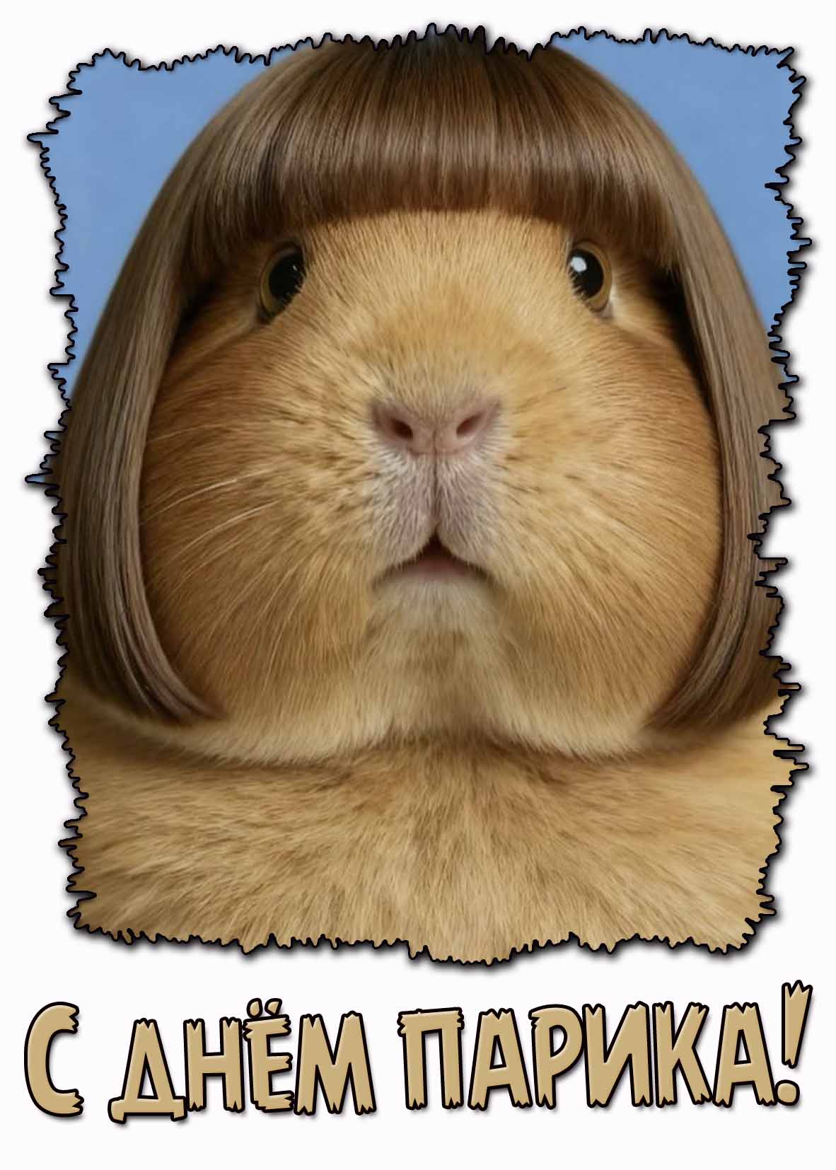 С днём парика! - смешная открытка