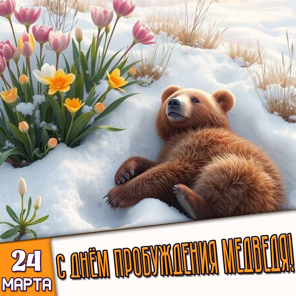 Картинка 24 марта - с днём пробуждения медведя!