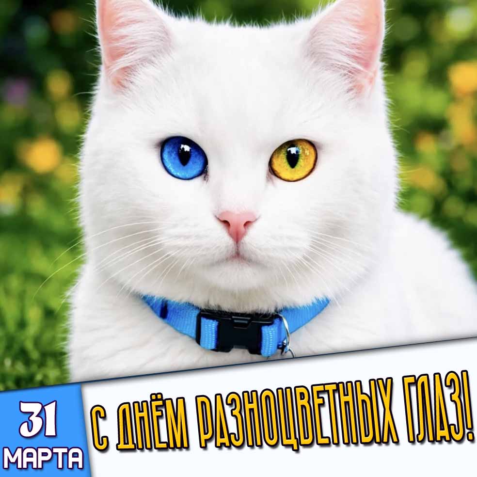 Открытка 31 марта - с днём разноцветных глаз!