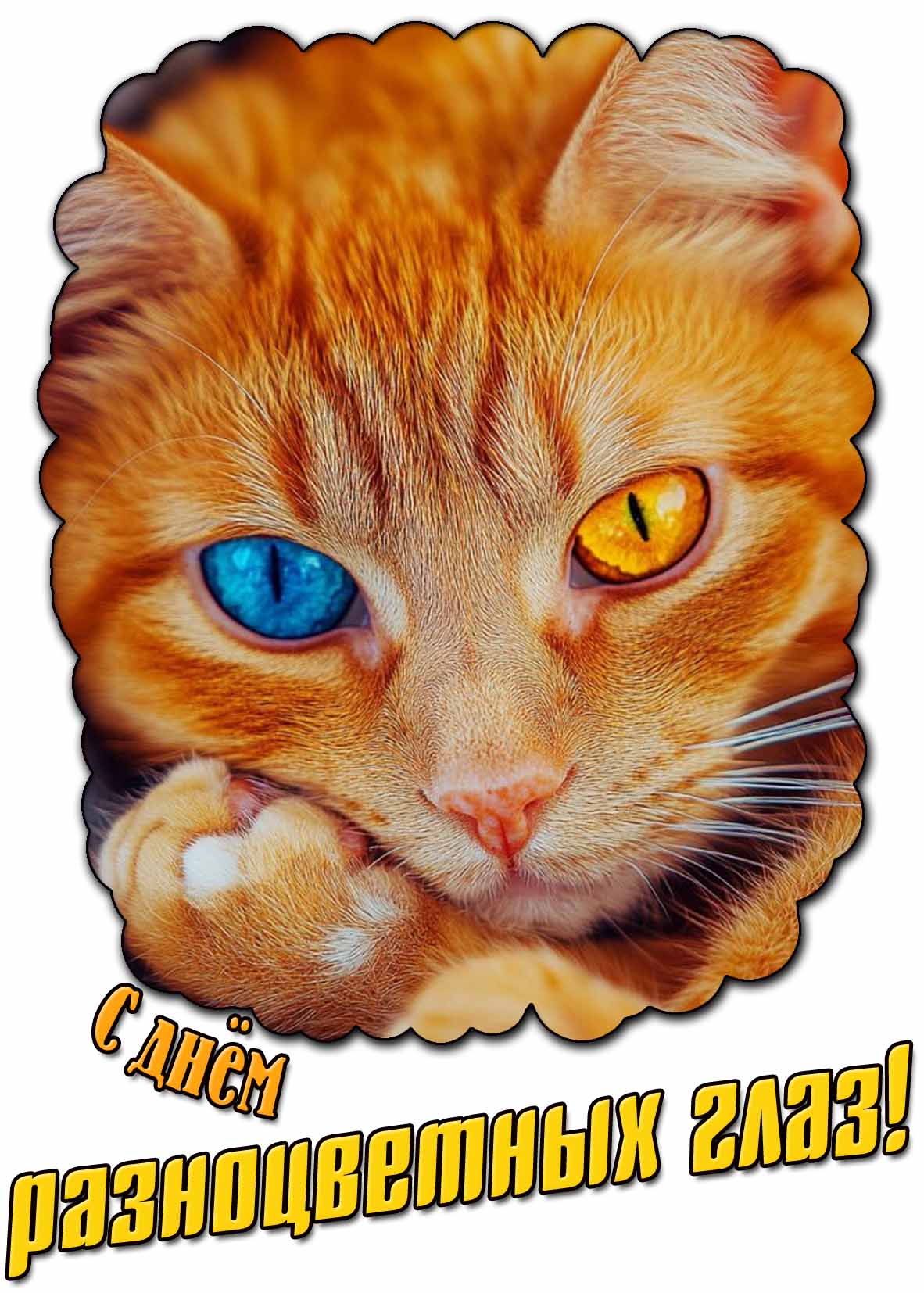 Картинка с днём разноцветных глаз