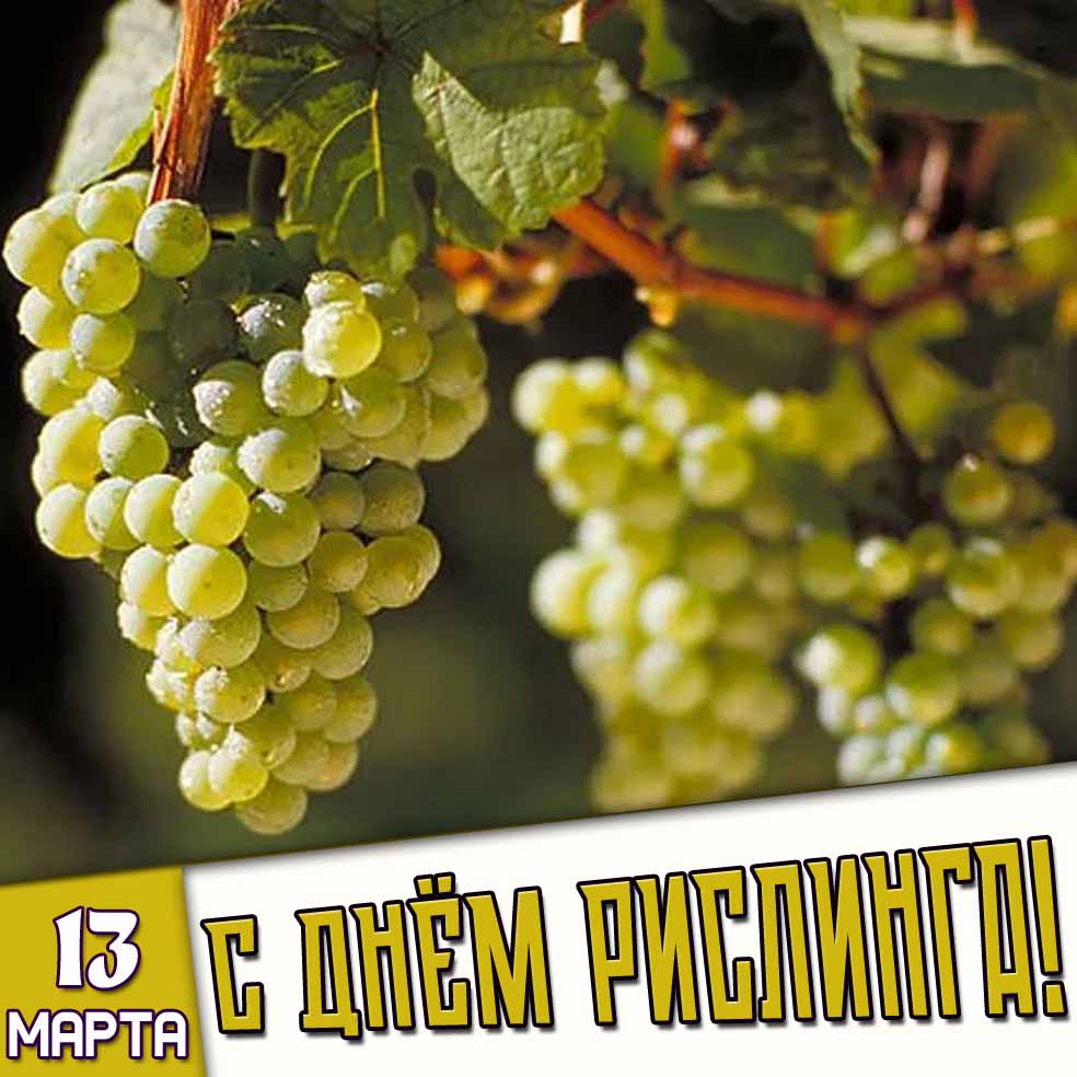 Картинка 13 марта - с днём рислинга!