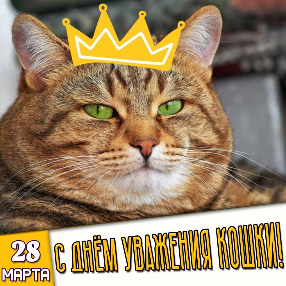 Открытка 28 марта - с днём уважения кошки!