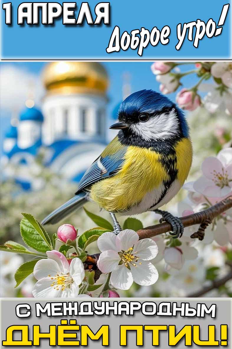 Картинка "1 апреля доброе утро! С Международным днём птиц!"
