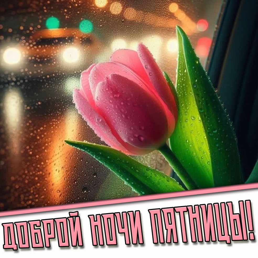 Доброй ночи пятницы! - дождливая весенняя картинка