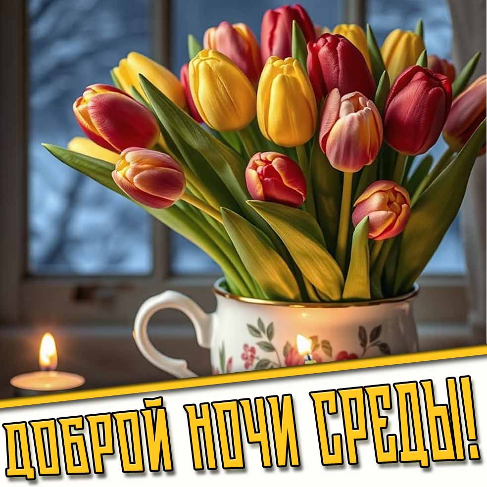 Доброй ночи среды! - открытка с весенними тюльпанами