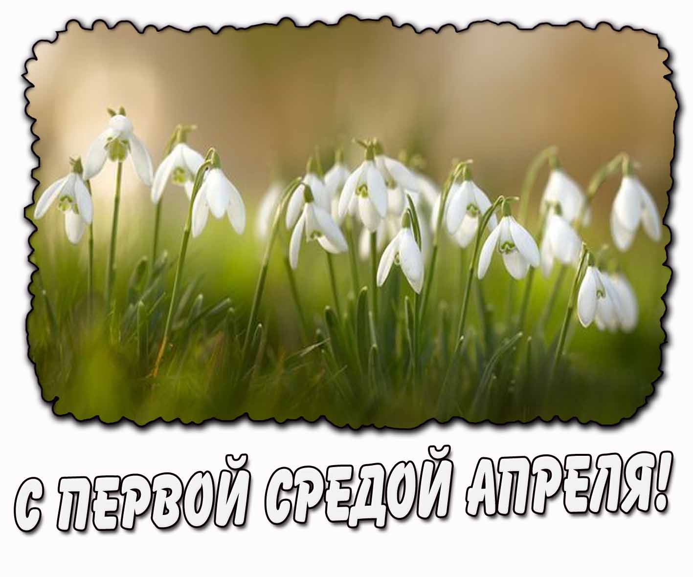 С первой средой апреля! - картинка с подснежниками