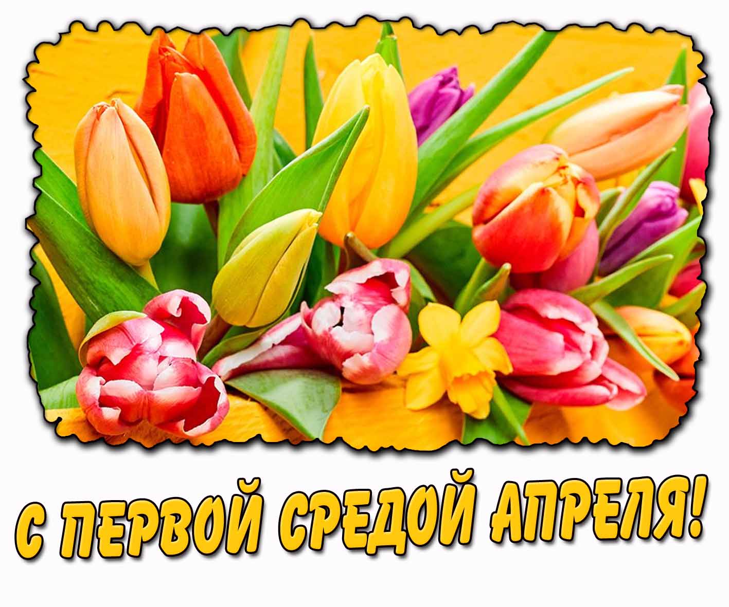 С первой средой апреля! - открытка с тюльпанами