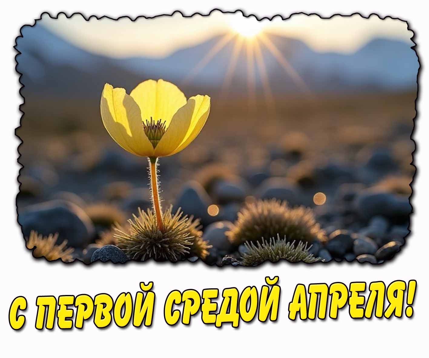 Солнечная открытка с первой средой апреля