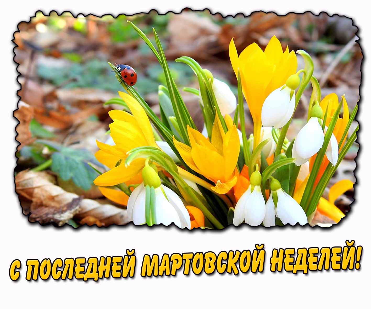 С последней мартовской неделей! - открытка с цветами
