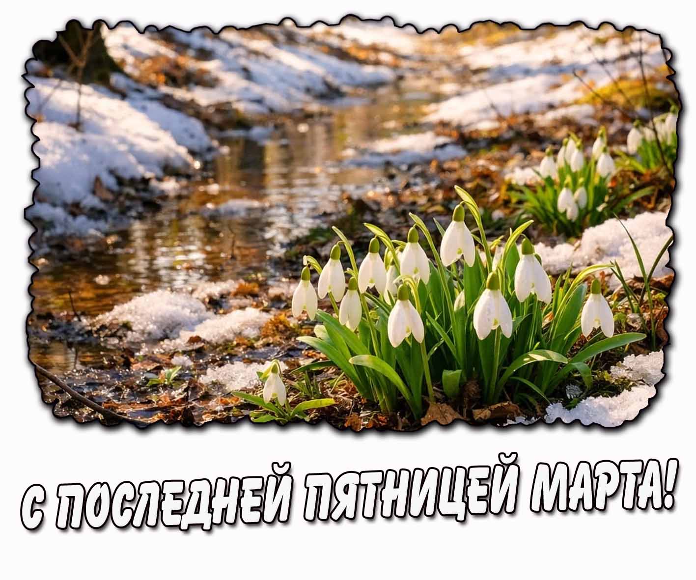 С последней пятницей марта! - картинка с подснежниками