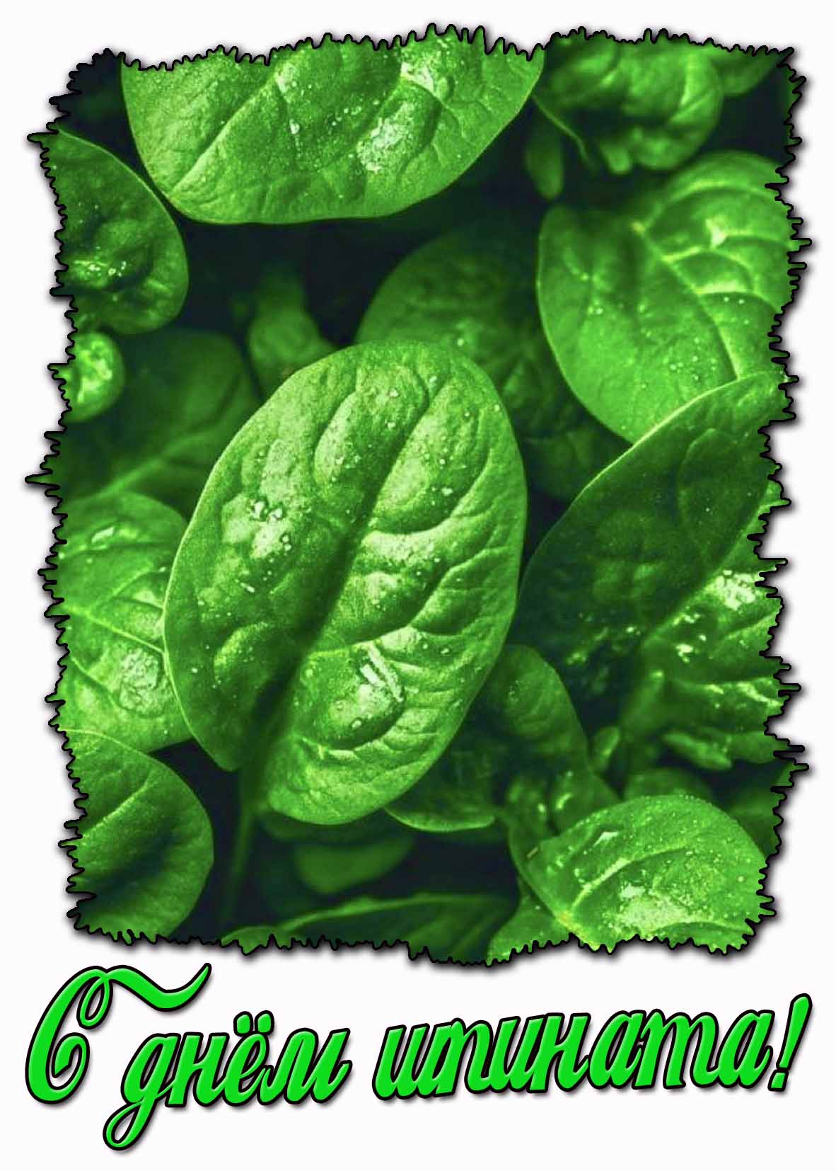 Открытка с днём шпината