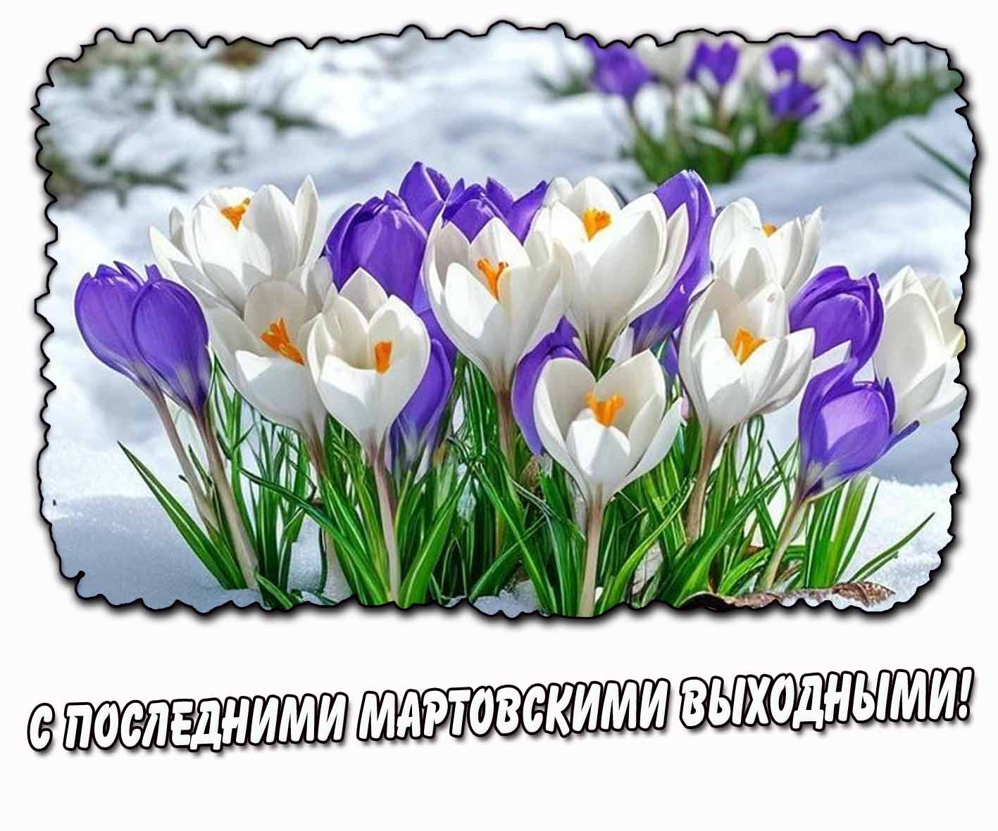 С последними мартовскими выходными! - открытка с цветами