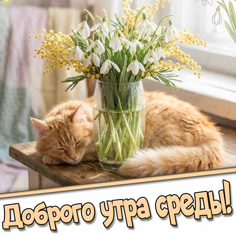 Весенняя открытка доброго утра среды