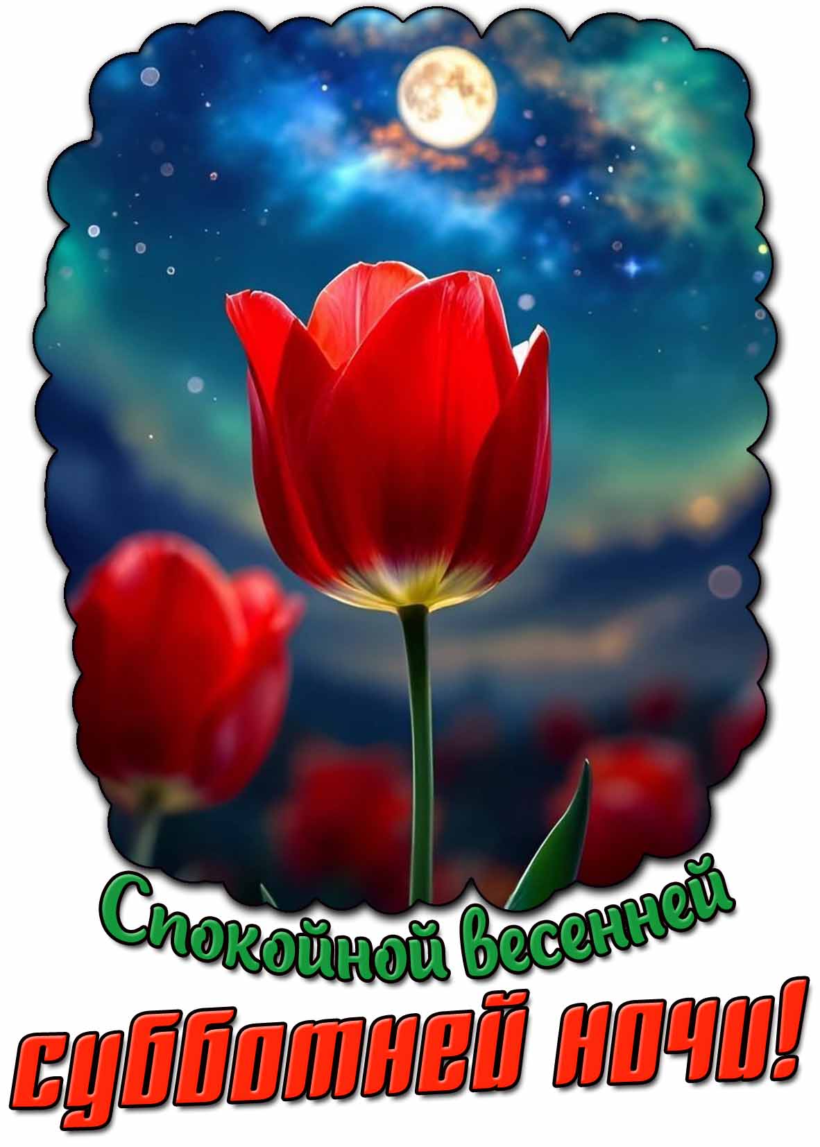 Картинка спокойной весенней субботней ночи