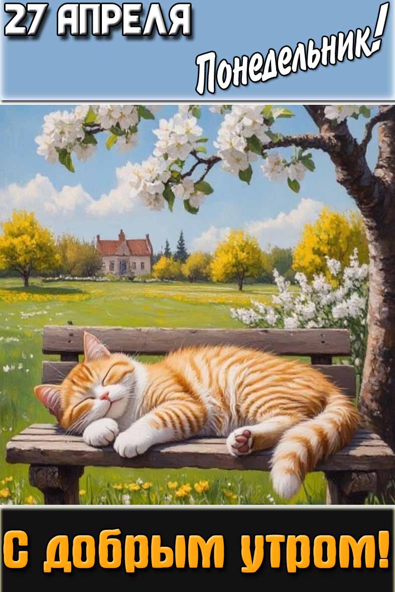 Открытка "27 апреля понедельник! С добрым утром!"