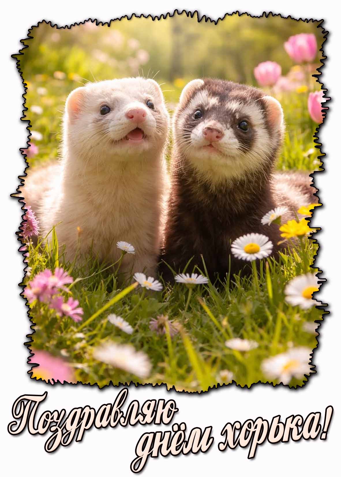 Весенняя картинка "Поздравляю с днём хорька!"