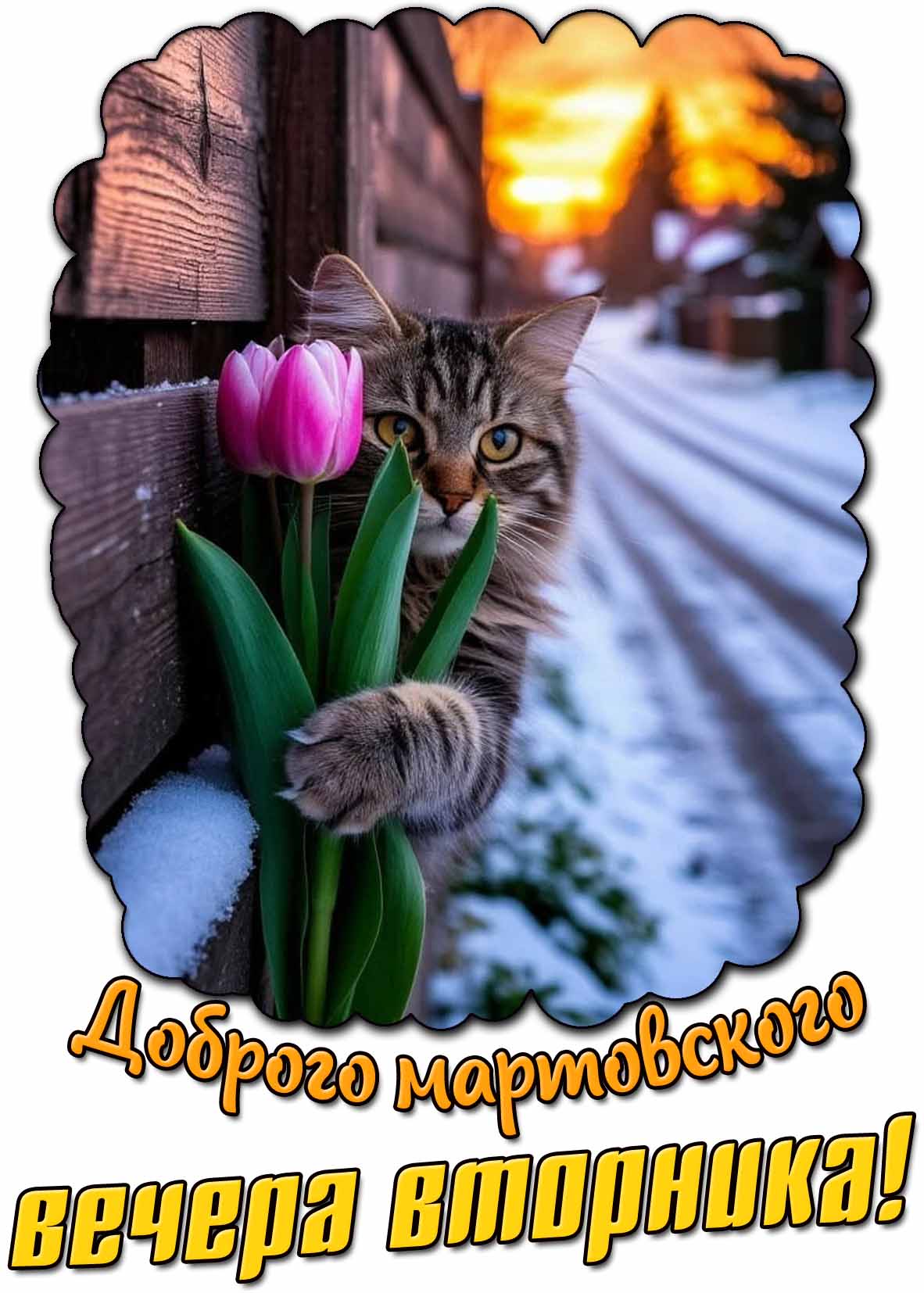 Открытка доброго мартовского вечера вторника