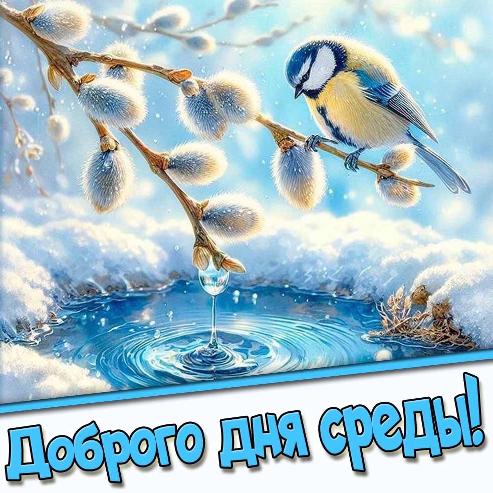 Доброго дня среды! - весенняя картинка с вербой