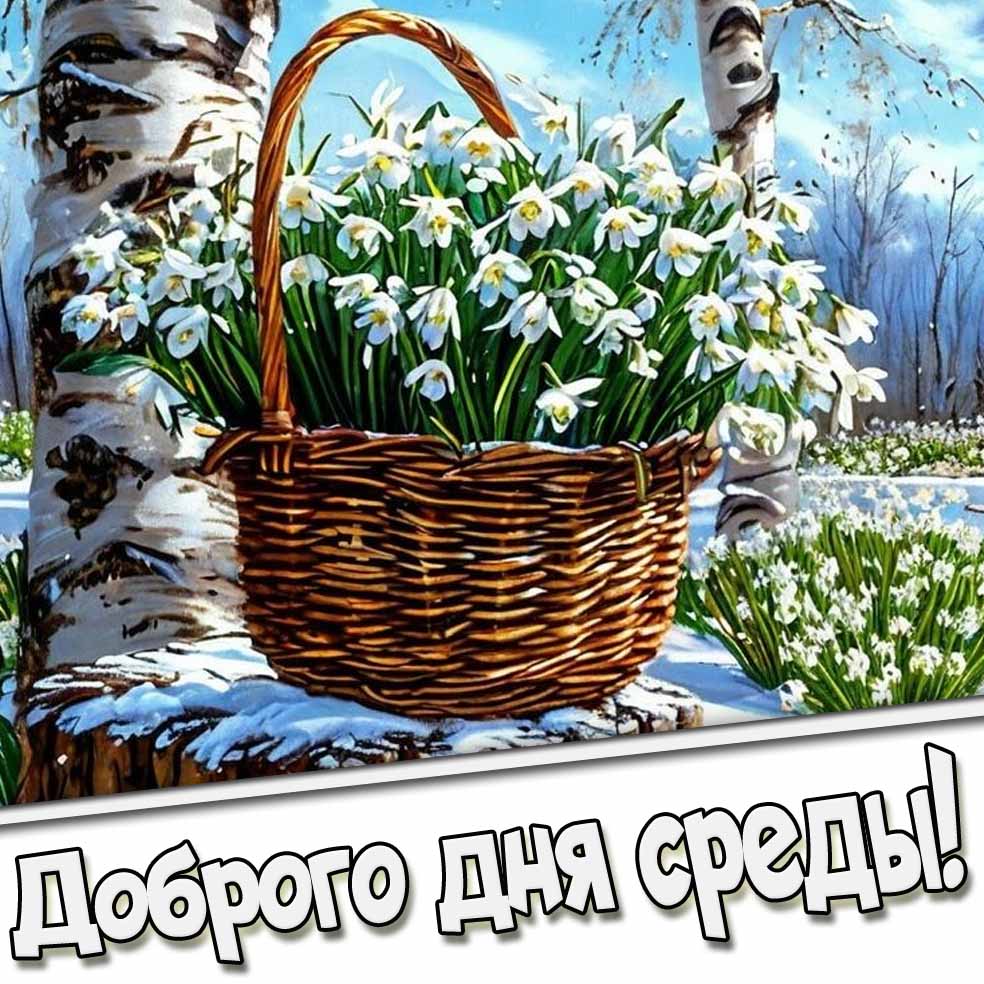 Доброго дня среды! - весенняя открытка с подснежниками