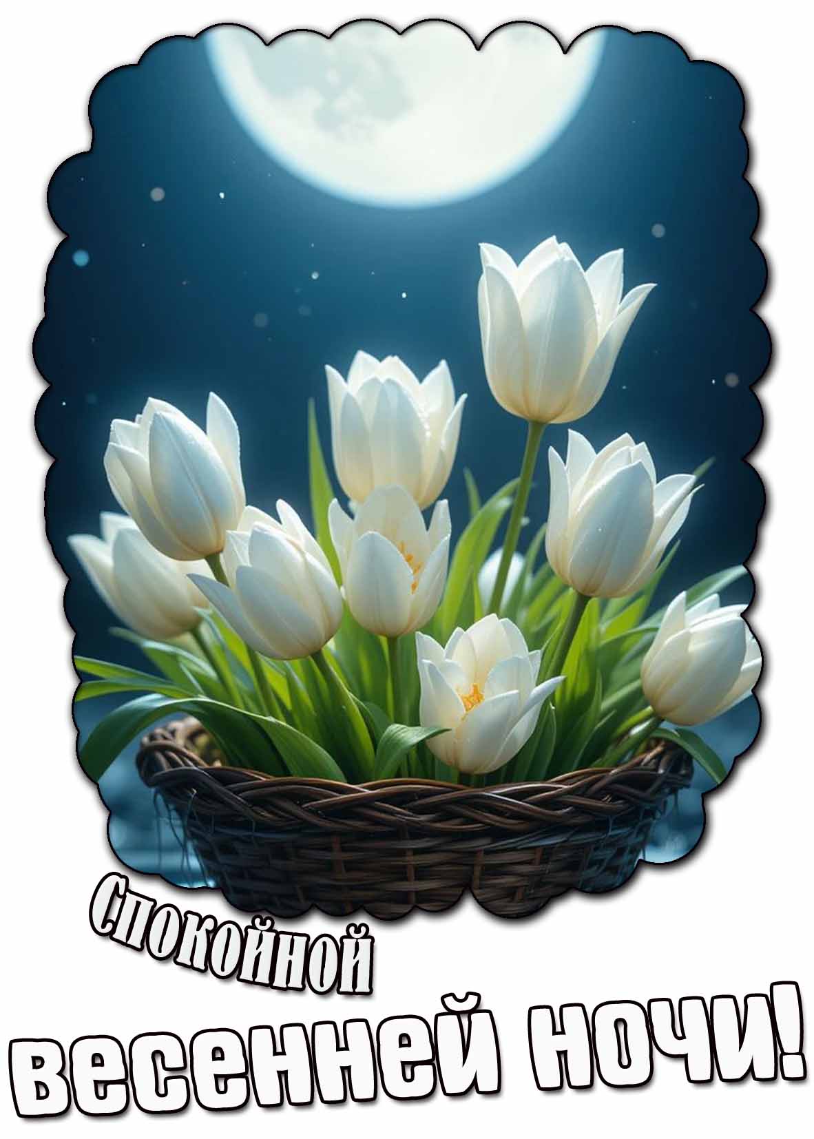 Спокойной весенней ночи! - открытка с белыми тюльпанами