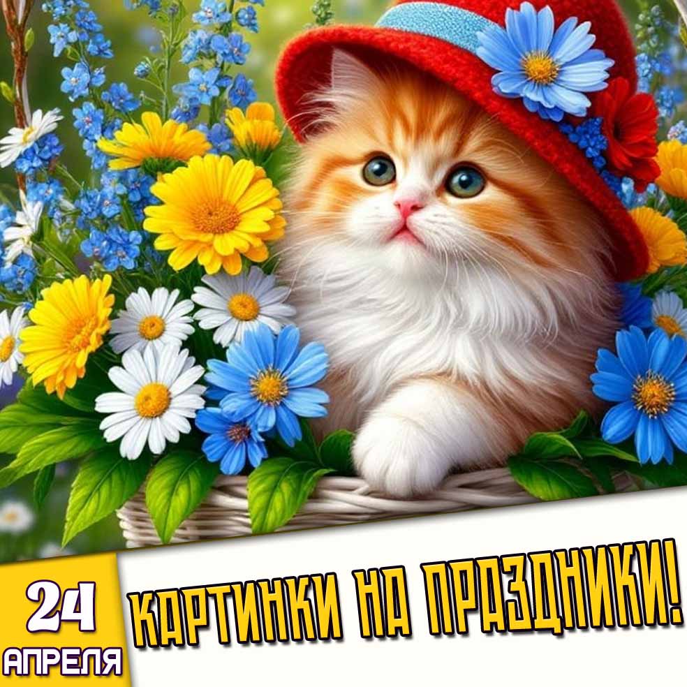 Картинки на праздники 24 апреля