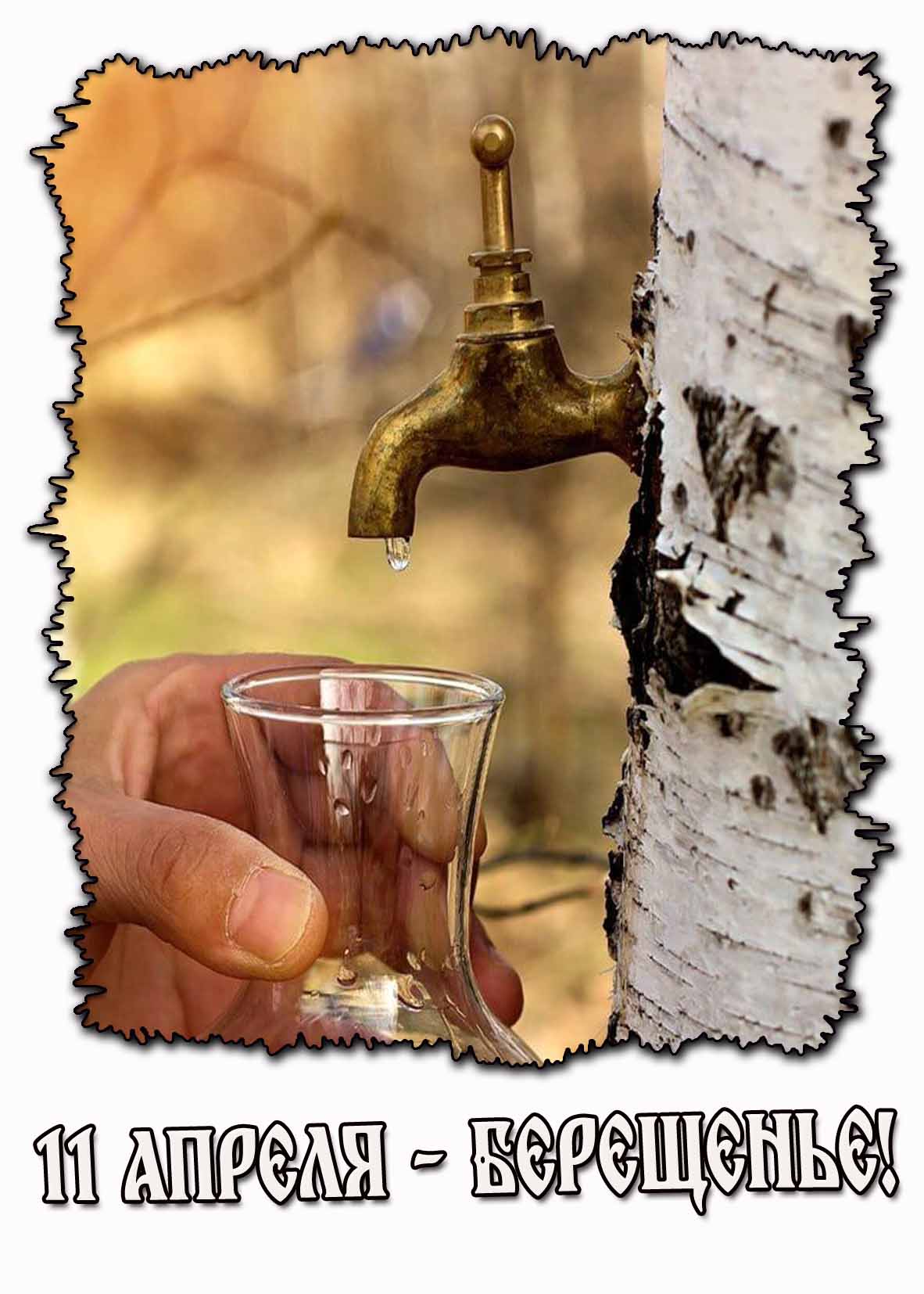 Картинка "11 апреля - Берещенье!"