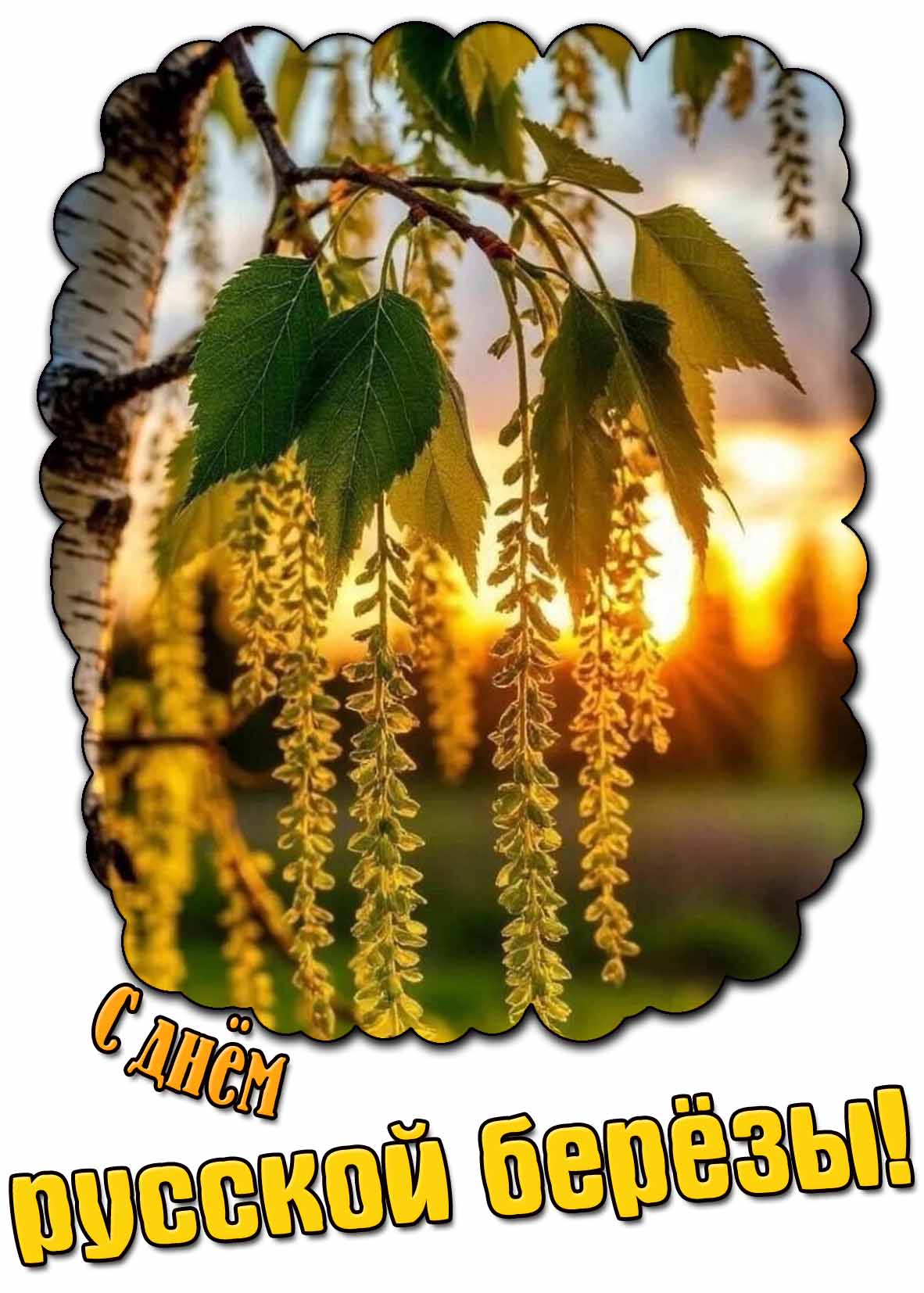 Картинка с днём русской берёзы