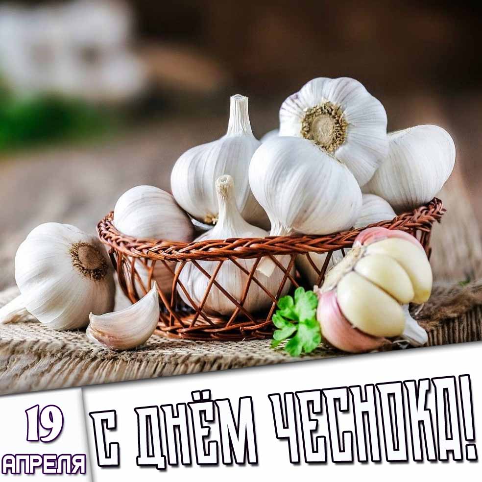 Открытка 19 апреля - с днём чеснока!