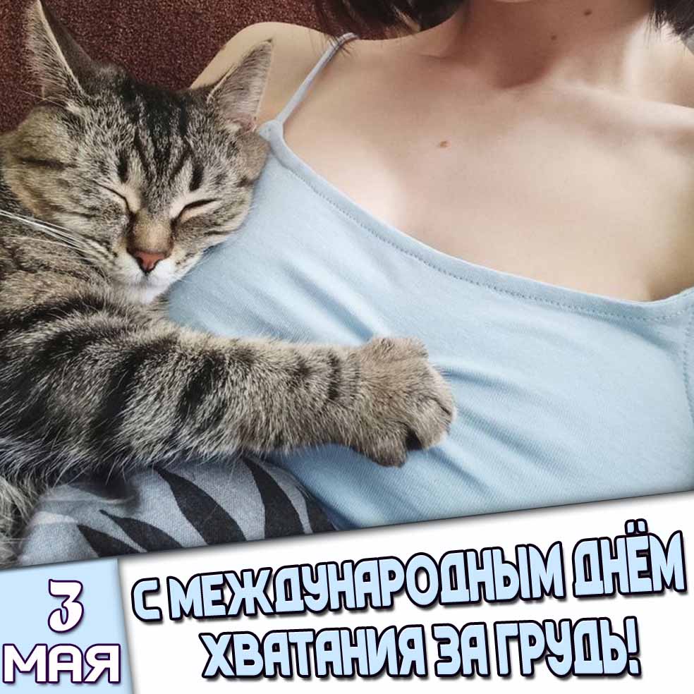 Картинка 3 мая - С Международным днём хватания за грудь!