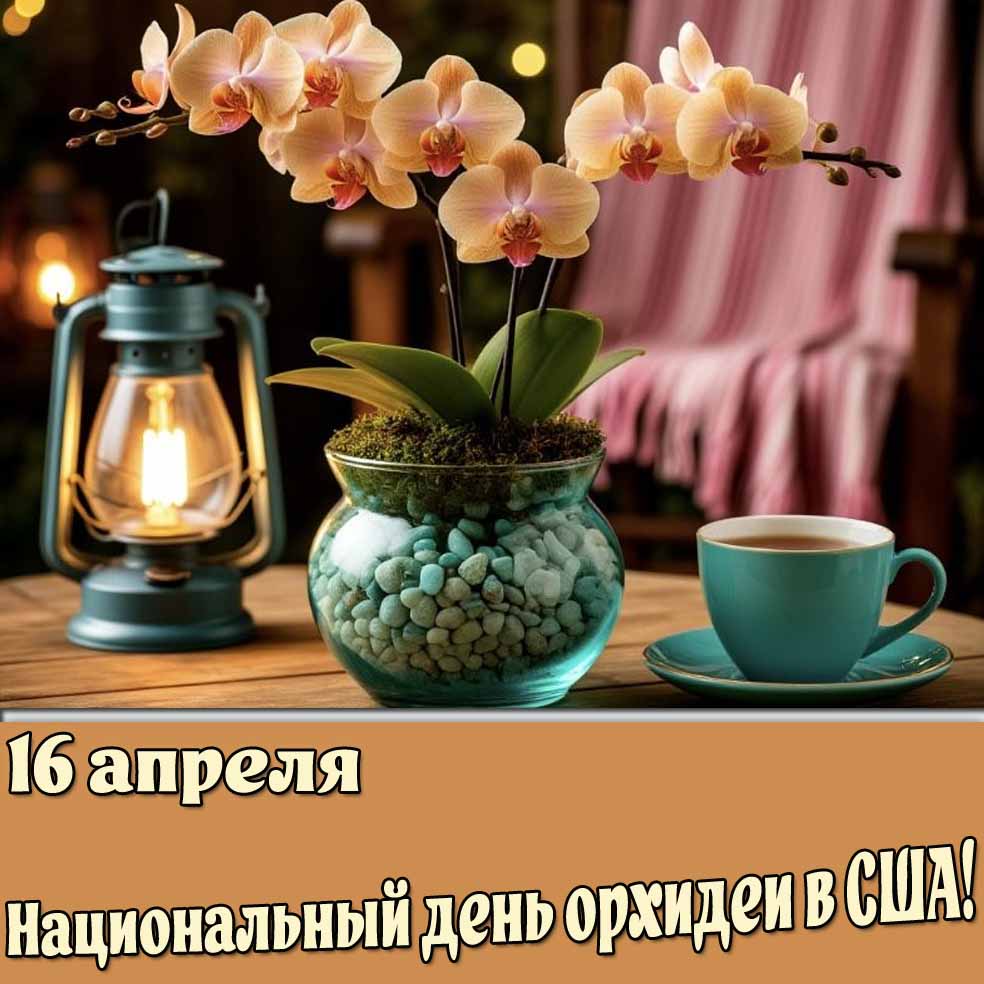 Открытка 16 апреля - Национальный день орхидеи в США!