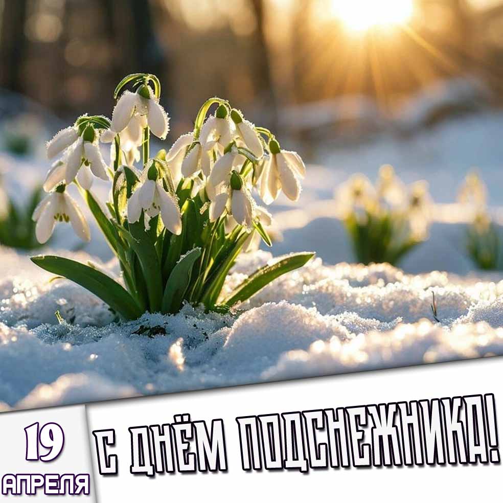 Картинка 19 апреля - с днём подснежника!