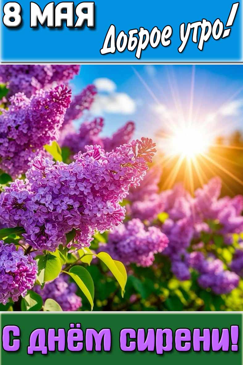 Картинка "8 мая доброе утро! С днём сирени!"