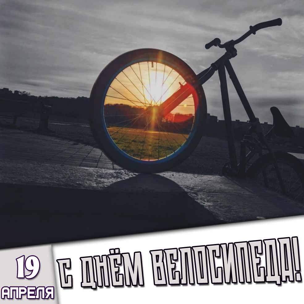Картинка 19 апреля - с днём велосипеда!