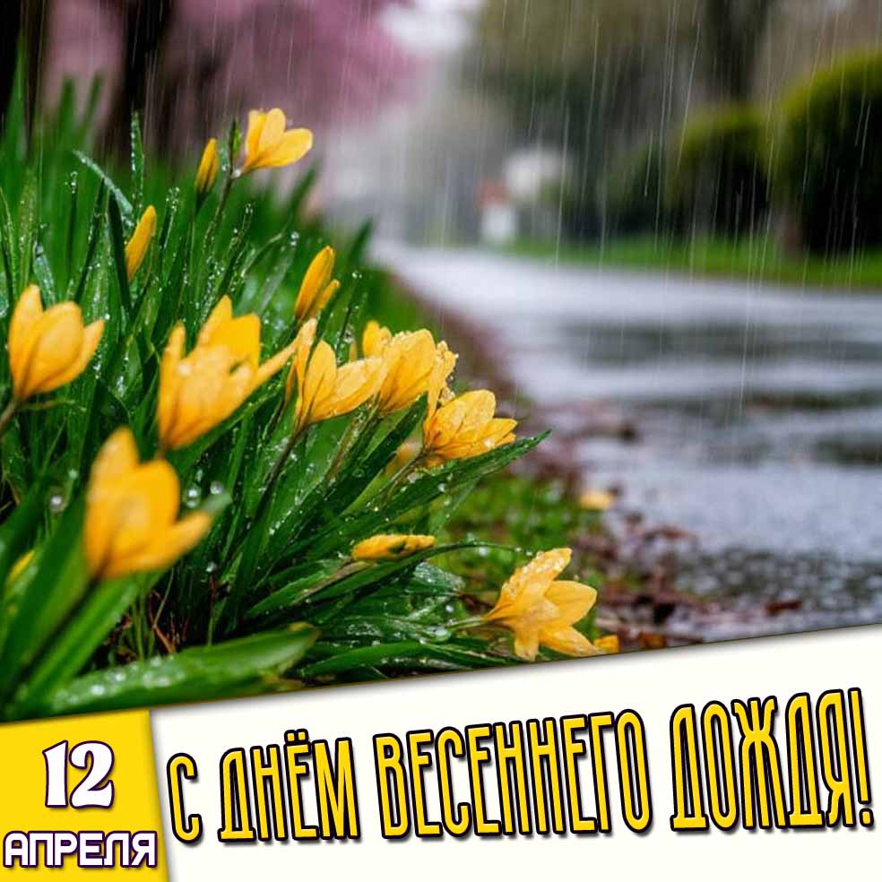 Картинка 12 апреля - с днём весеннего дождя!