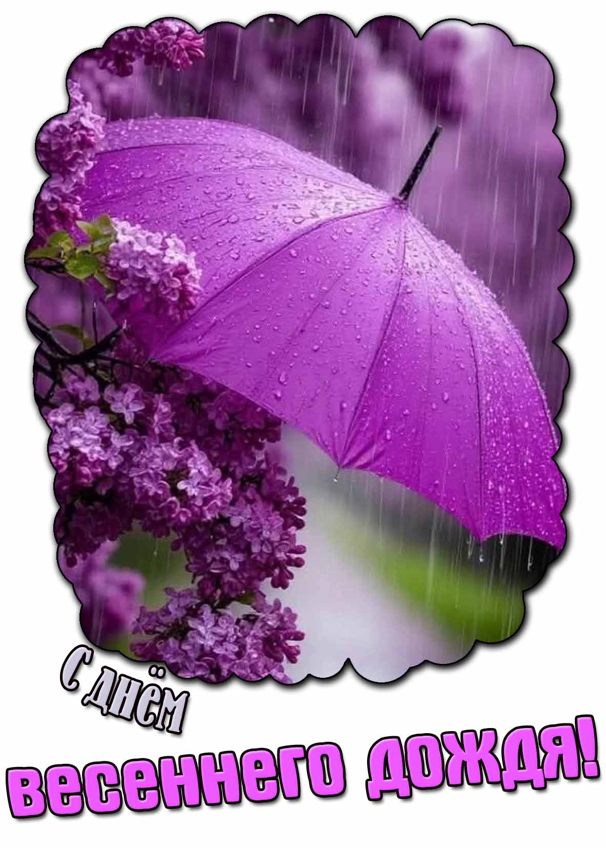 С днём весеннего дождя! - необычная открытка