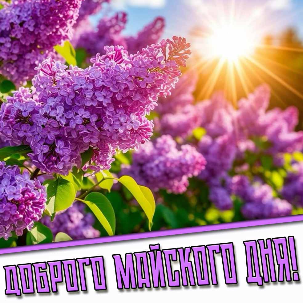 Картинка доброго майского дня