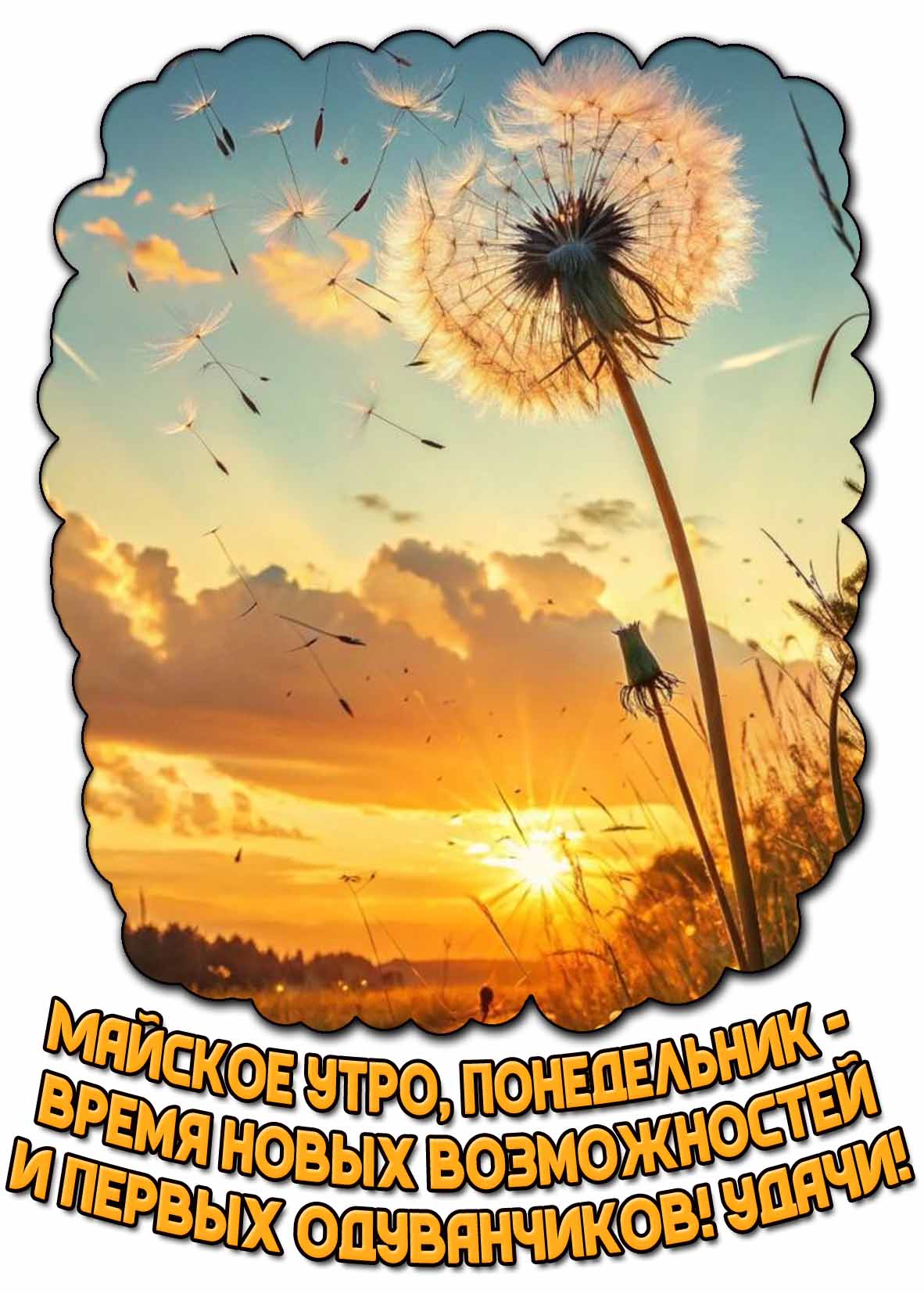 Открытка "Майское утро, понедельник - время новых возможностей и первых одуванчиков! Удачи!"