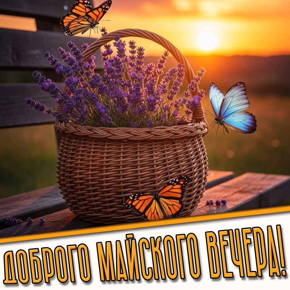 Доброго майского вечера! - открытка с лавандой