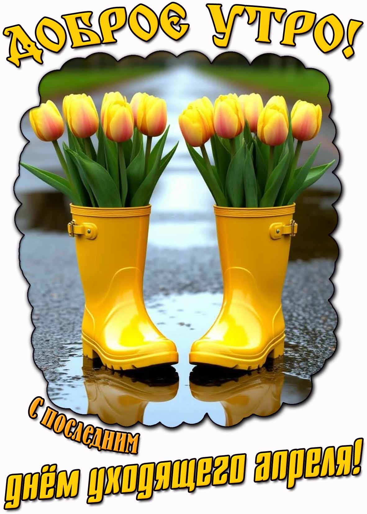 Picture background
