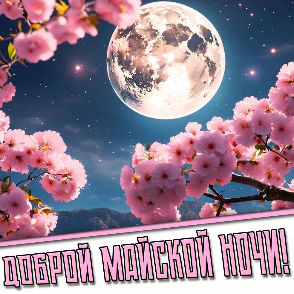 Доброй майской ночи! - открытка с цветами и луной