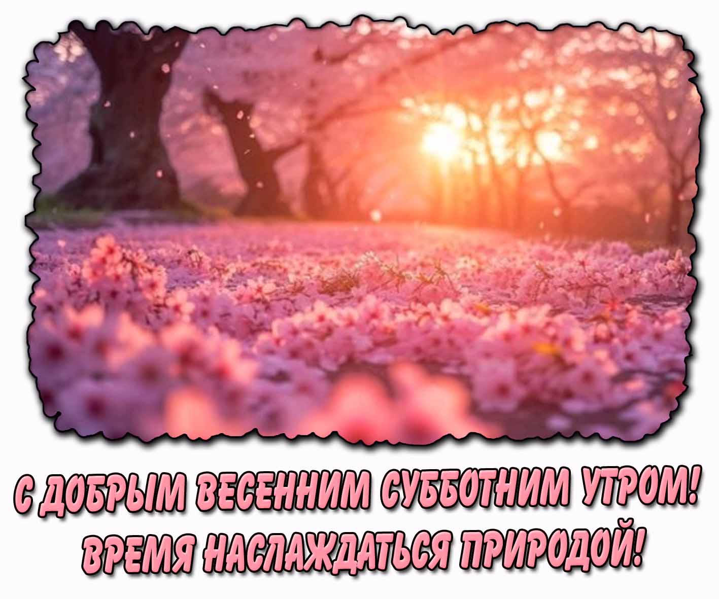 Картинка "С добрым весенним субботним утром! Время наслаждаться природой!"