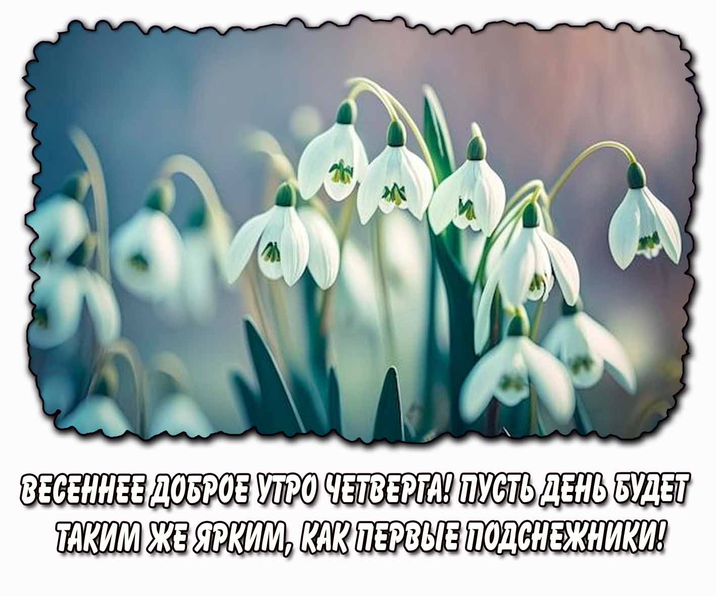 Картинка "Весеннее доброе утро четверга! Пусть день будет таким же ярким, как первые подснежники!"