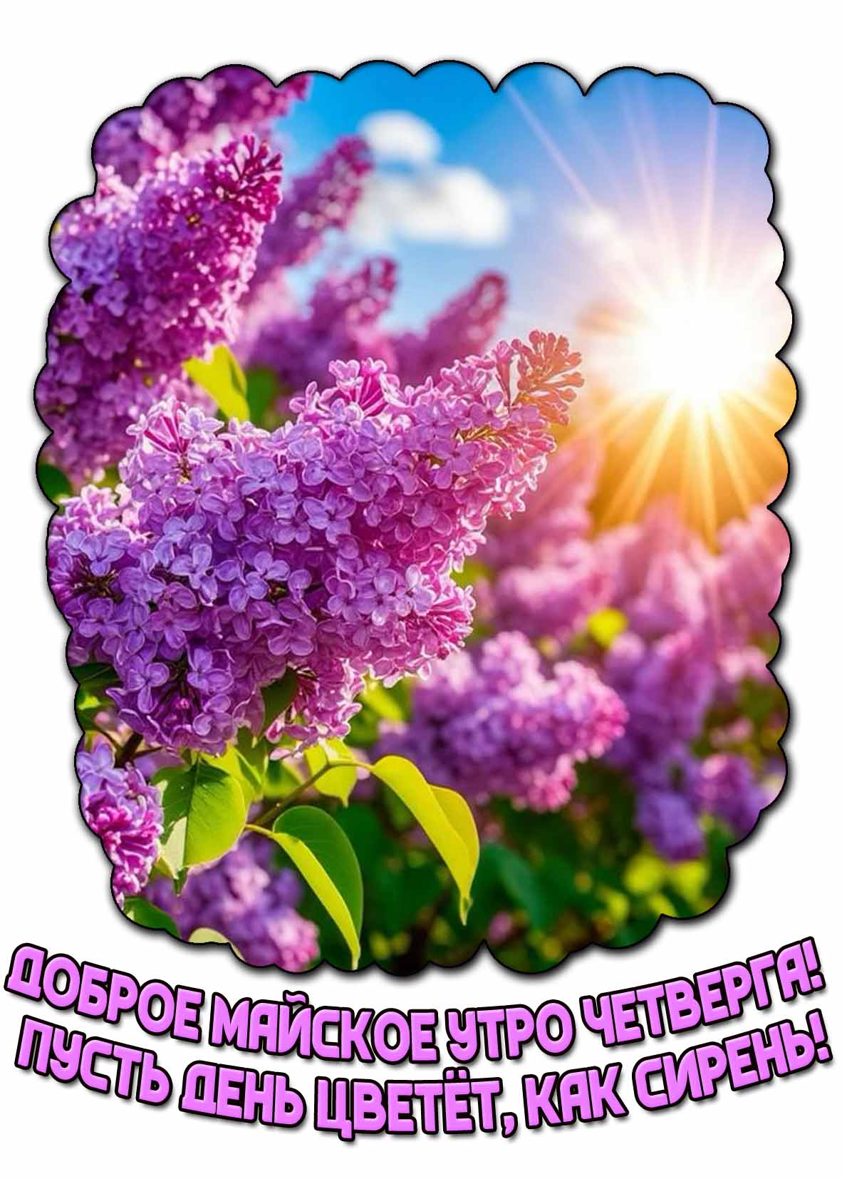 Картинка "Доброе майское утро четверга! Пусть день цветёт, как сирень!"